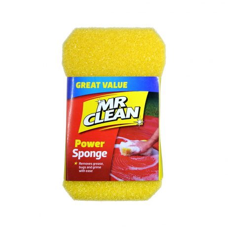 Mr Clean Power Sponge